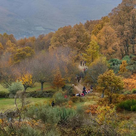 Casa Rural Arbequina, Refugio De Primavera Casas del Monte Extérieur photo