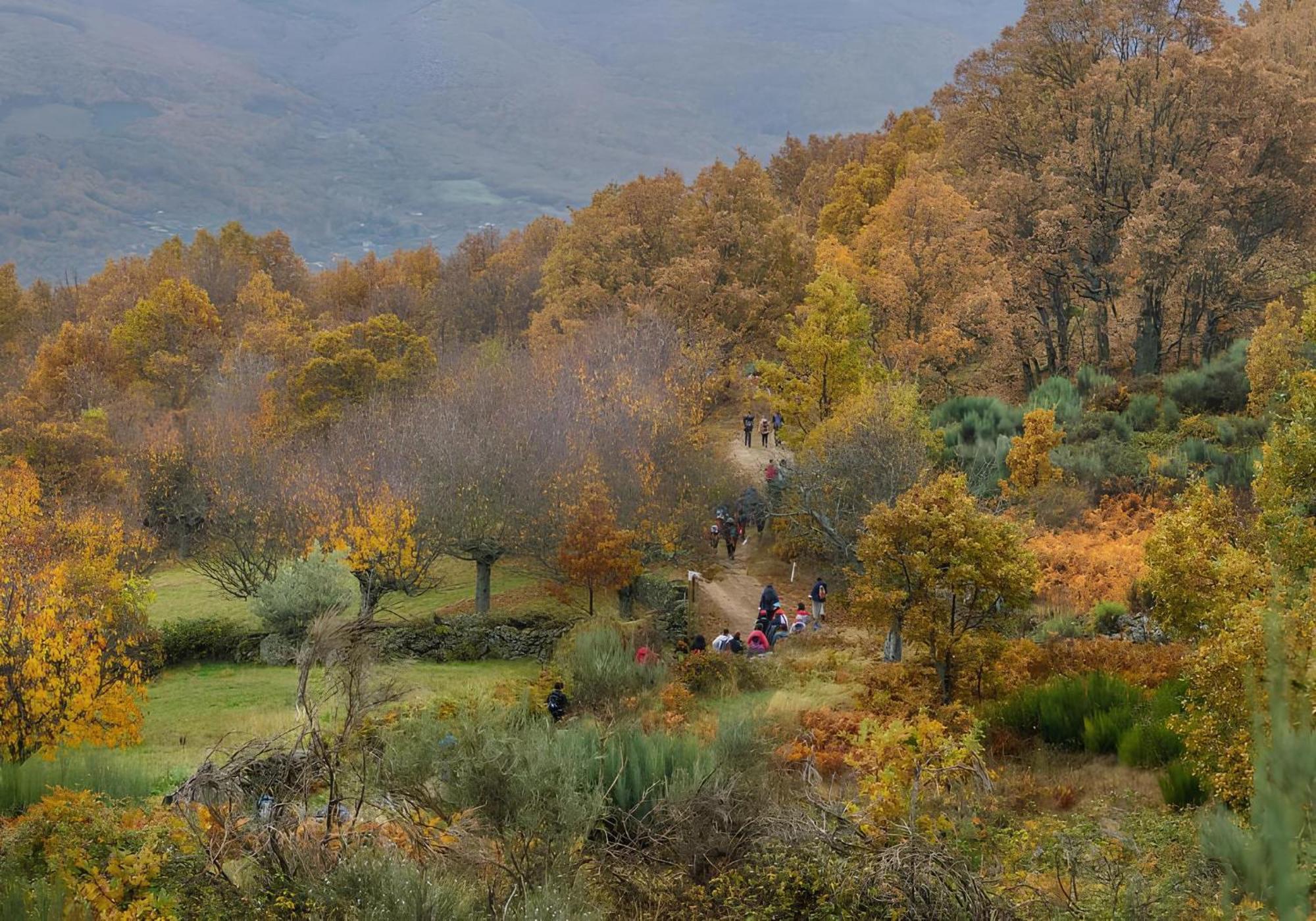 Casa Rural Arbequina, Refugio De Primavera Casas del Monte Extérieur photo
